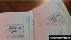 Tres pasaportes cubanos con estampas de Inmigración de parole humanitario, pueden verse en Tampa EEUU, el 21 de diciembre de 2023.