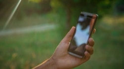 Source:
Foto: Envato (Web Screenshot)