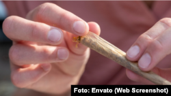 Imagen de referencia