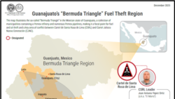 El cártel controla el robo de combustible y petróleo en el llamado "Triángulo de las Bermudas", en varios municipios en Guanajuato donde se encuentran una refinería de Pemex y numerosos oleoductos de Pemex.