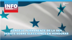 Consejo Permanente de la OEA debate sobre elecciones en Honduras